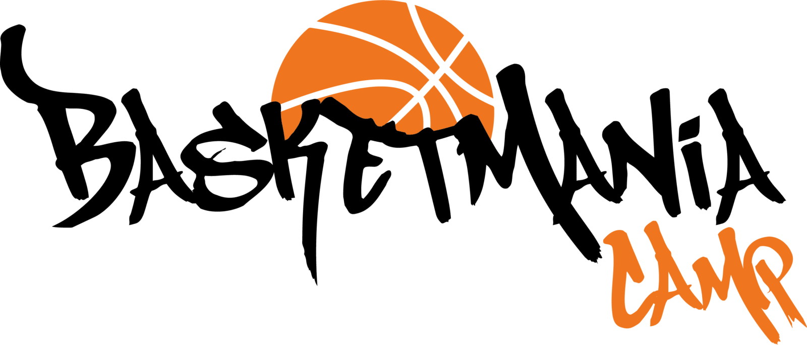 Basketmania Camp